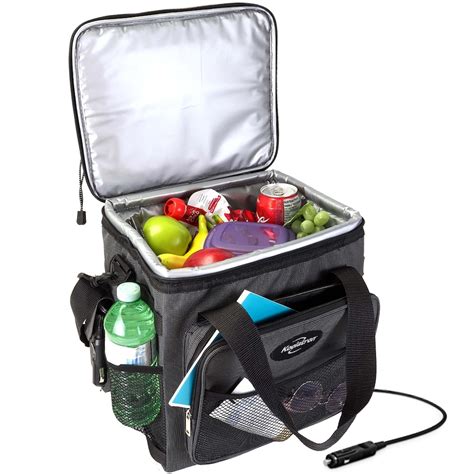 portable 12v cooler bag